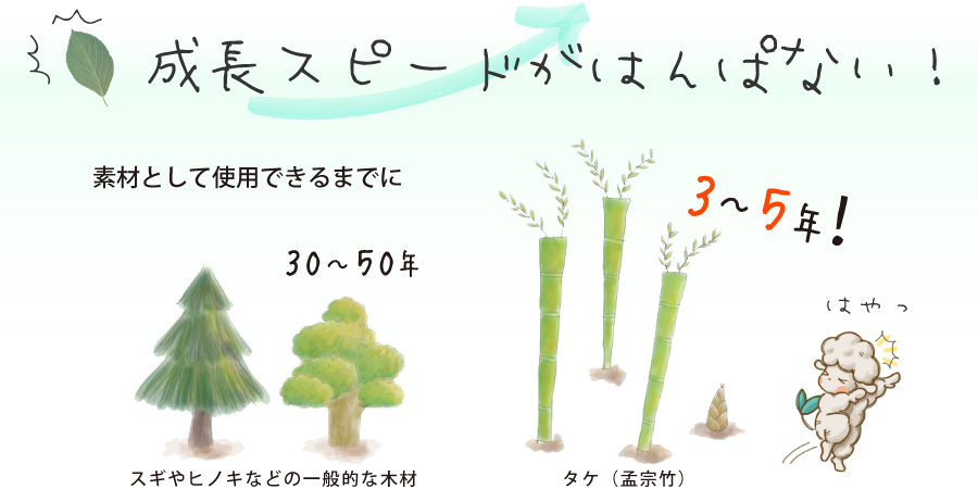 成長スピードがはんぱない!