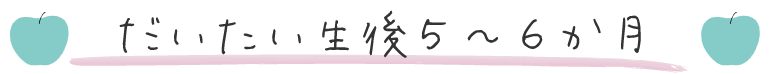 だいたい生後5~6か月