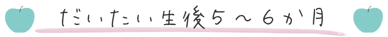 だいたい生後5~6か月
