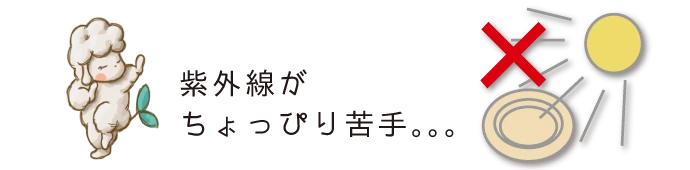 紫外線がちょっぴり苦手。。。