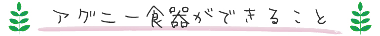 アグニーができること