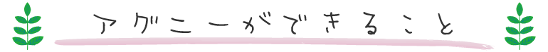 アグニーができること