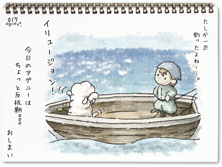イリュージョン 6