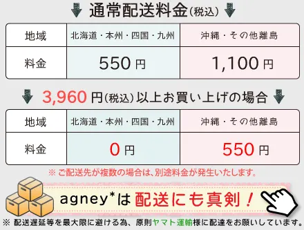 通常配送料金