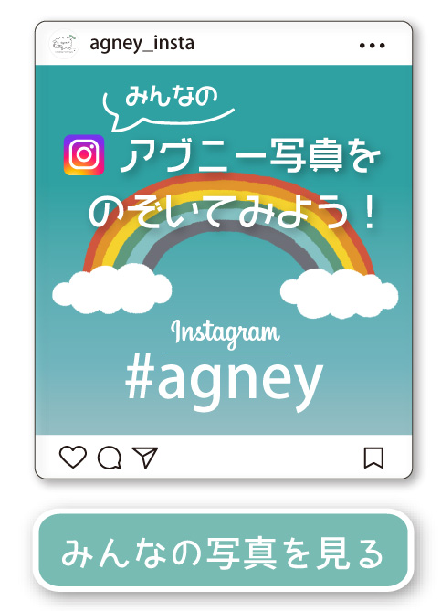 アグニー公式 Instagram