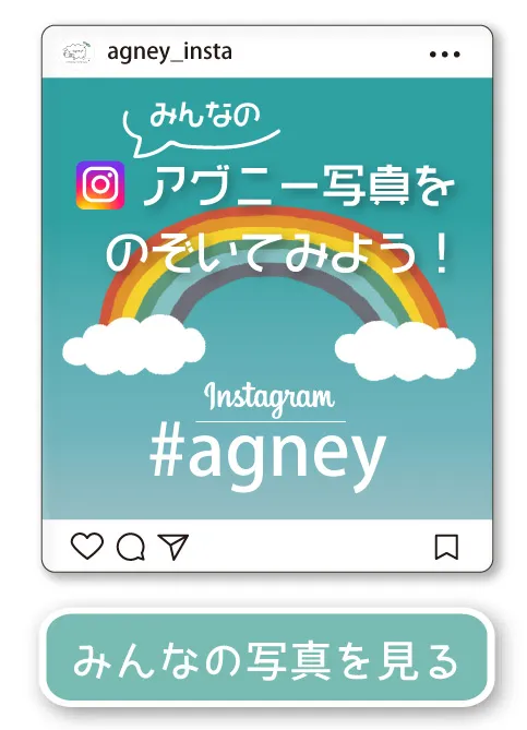 アグニー公式 Instagram